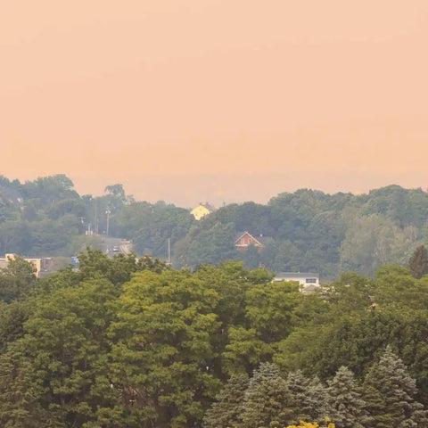 Wildfire smoke_Syracuse