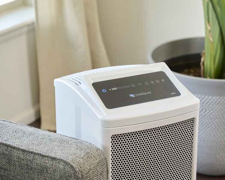 Air Purification: The Small Change that Makes a Big Difference