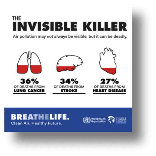 Managing Air Pollution